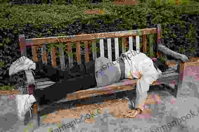 A Homeless Man Sleeping On A Park Bench Manhattan Erik Pihel