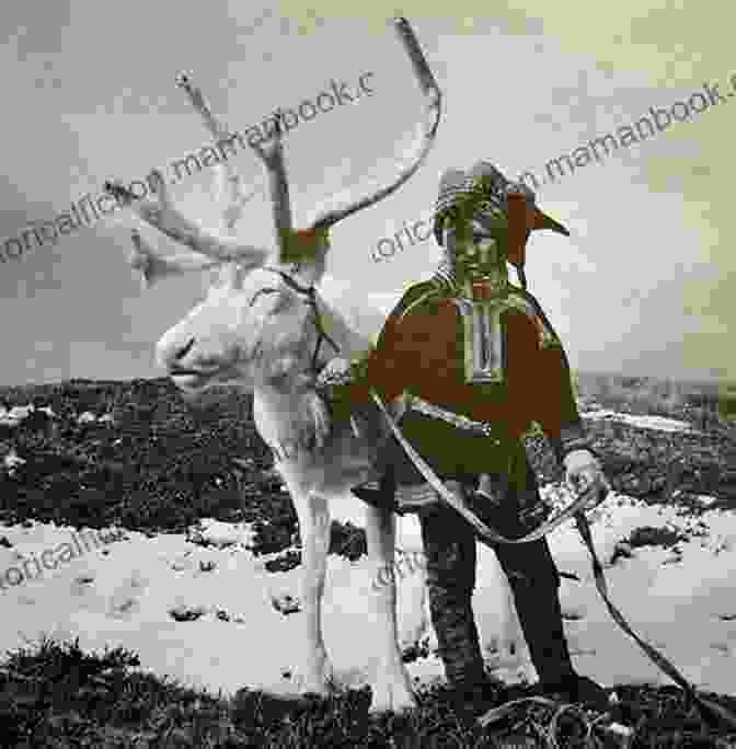 A Sami Reindeer Herder Silhouetted Against The Backdrop Of The Midnight Sun, Highlighting The Deep Connection Between The Far North's People And Their Natural Surroundings. Ice Floe II: International Poetry Of The Far North