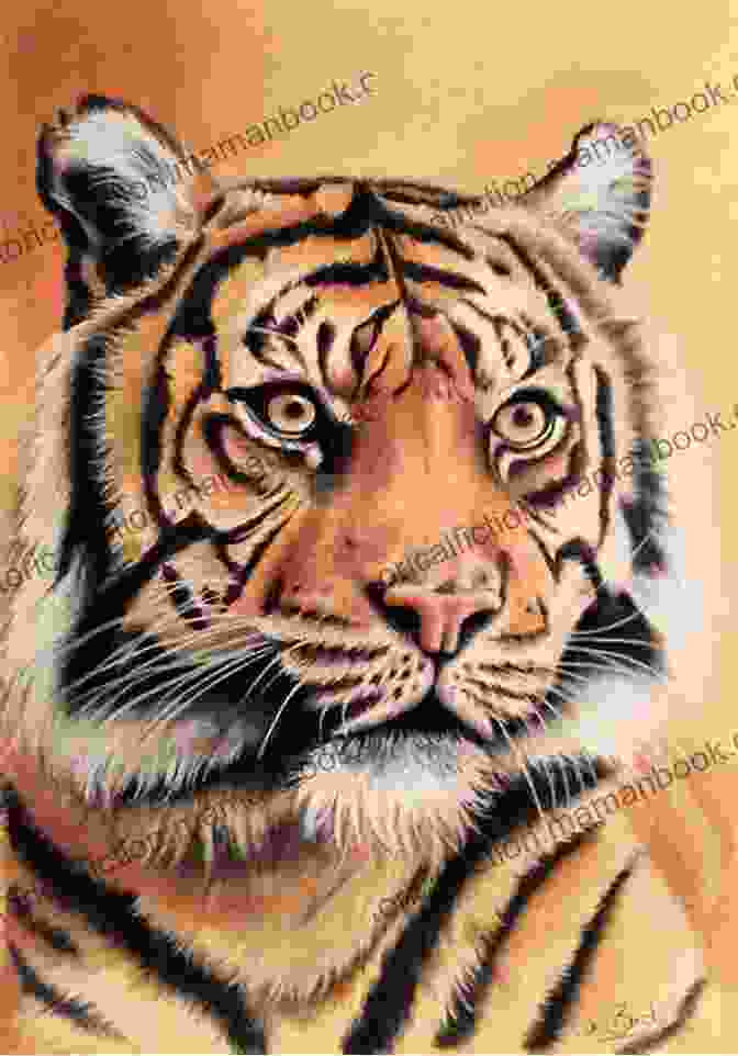 Blending Technique Drawing Tigers: Using Graphite And Coloured Pencils (Animal Art Guides 1)