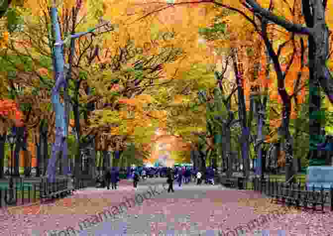 Central Park In The Fall Manhattan Erik Pihel