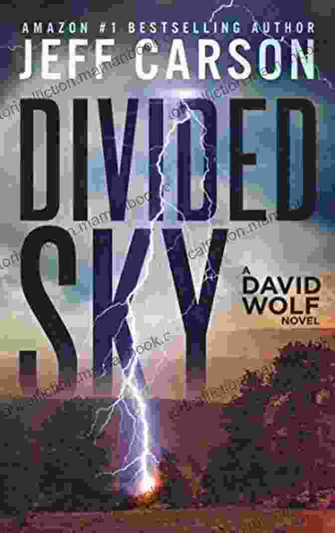 Divided Sky By David Wolf Divided Sky (David Wolf Mystery Thriller 13)