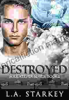 Destroyed (Soul Keeper 2)