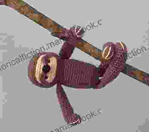 Sloth Crochet Pattern Amy Gaines